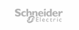 21 schneider